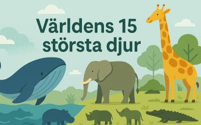 Världens 15 största djur