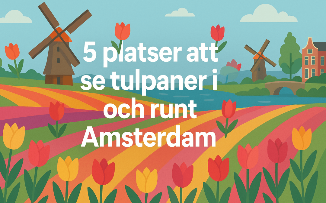 5 platser att se tulpaner i och runt Amsterdam