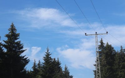 Elpriskrisen i SE3 – så skyddar du dig med egen elproduktion